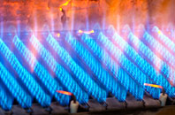 Skelbrooke gas fired boilers